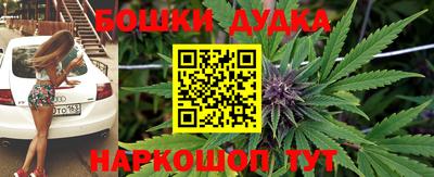 гидра Лесосибирск