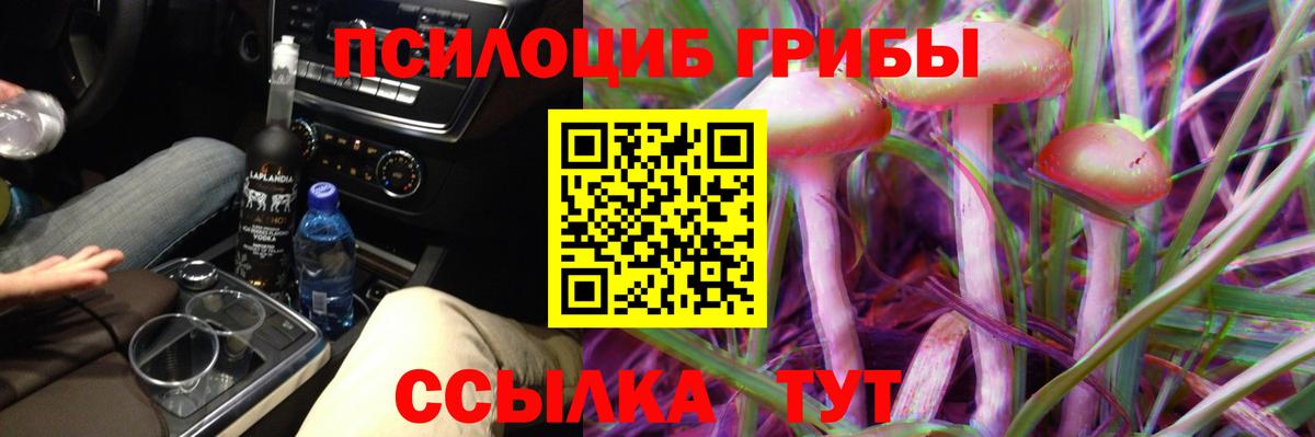 Псилоцибиновые грибы ЛСД Гусиноозёрск