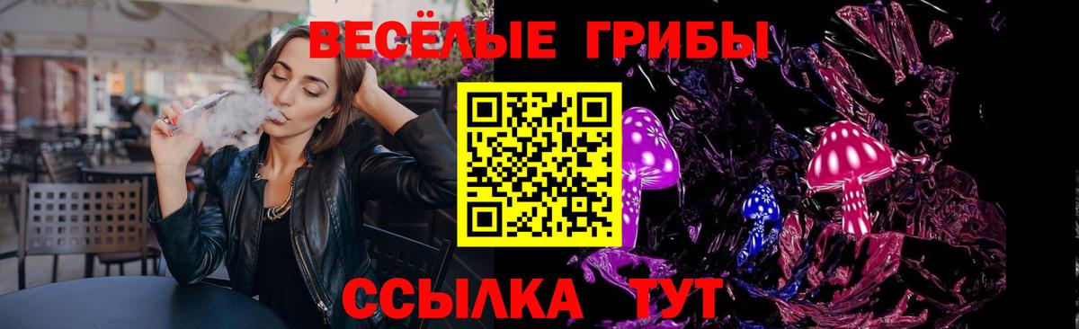 Гусиноозёрск  Галлюциногенные грибы MAGIC MUSHROOMS  Псилоцибиновые грибы MAGIC MUSHROOMS  Вход с VPN 
