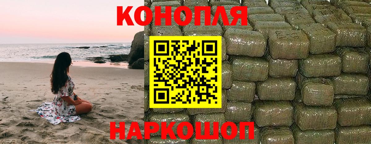 Конопля гибрид Гусиноозёрск